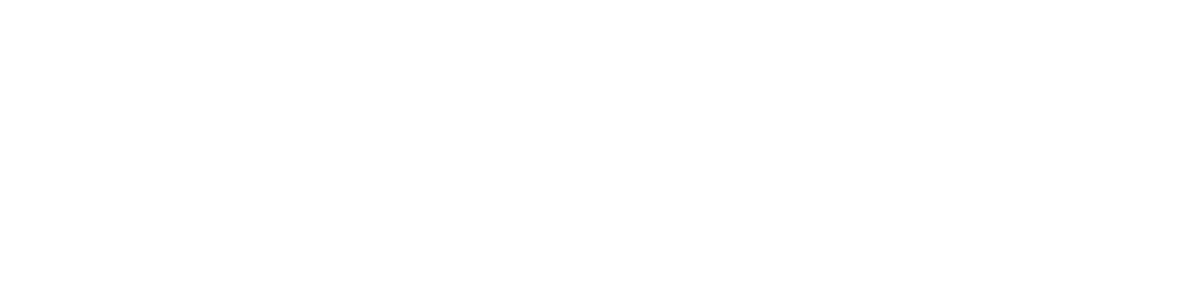 DataSense Logo W